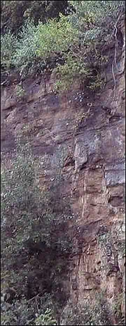 Geologie Wiehengebirge