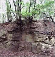 Geologie Wiehengebirge