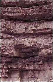 Geologie Wiehengebirge
